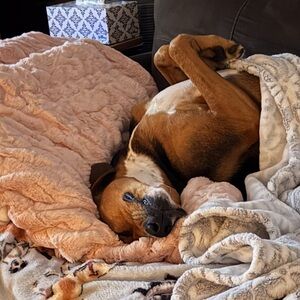 Meet your Posher, Maureen